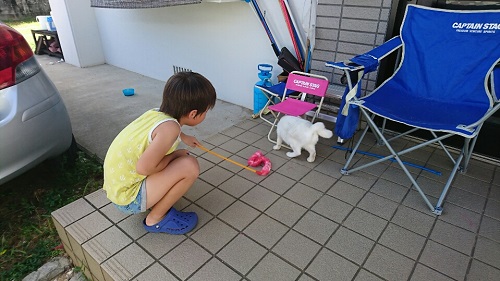 4日・インフル5日目!