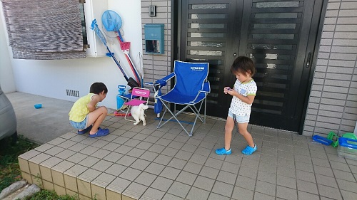 4日・インフル5日目!