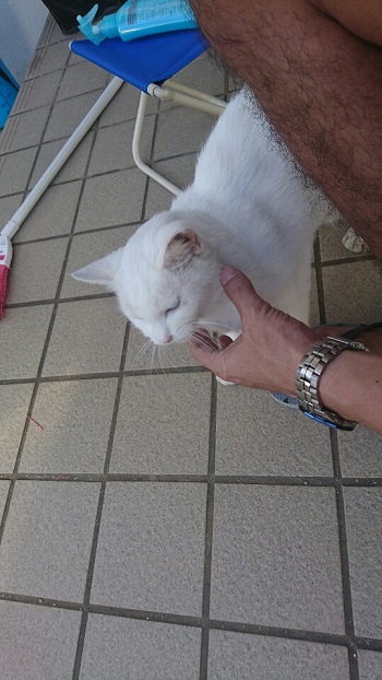 7日・フリーマーケット!