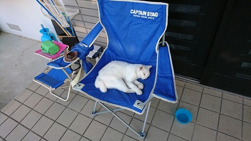 10日・沖縄は物価が安い!