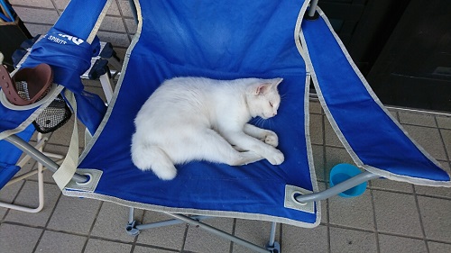 9日・かかって来いや!