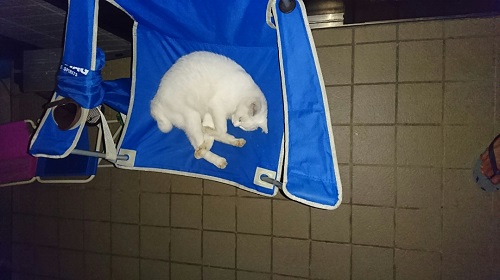 12日・自作って凄いですよね!