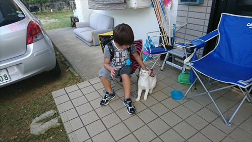 11日・草刈りとサッカーと散髪と。