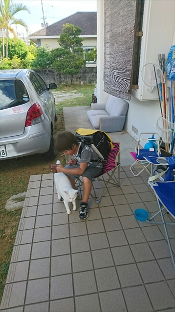 11日・草刈りとサッカーと散髪と。