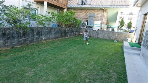 11日・草刈りとサッカーと散髪と。