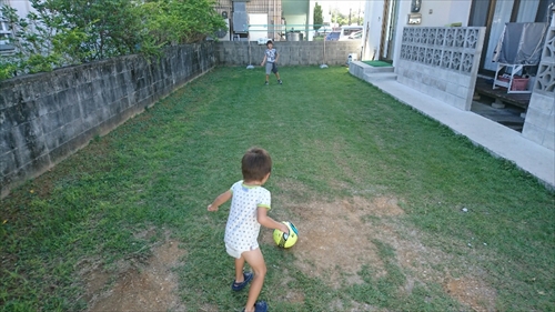 11日・草刈りとサッカーと散髪と。