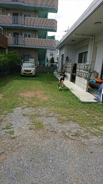 14日・猫用レボリューションが届きました!