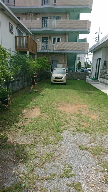 14日・猫用レボリューションが届きました!