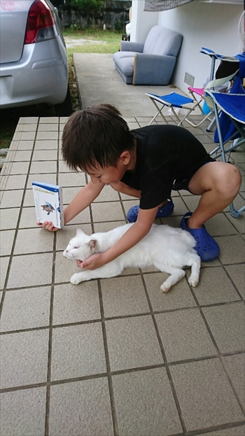 14日・猫用レボリューションが届きました!