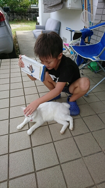 14日・猫用レボリューションが届きました!