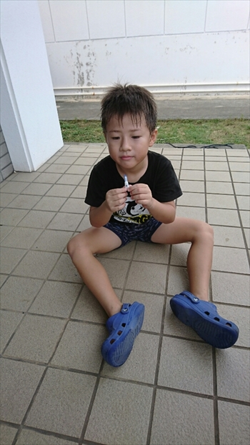 14日・猫用レボリューションが届きました!