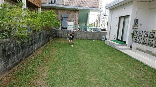 14日・猫用レボリューションが届きました!