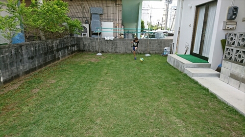 14日・猫用レボリューションが届きました!