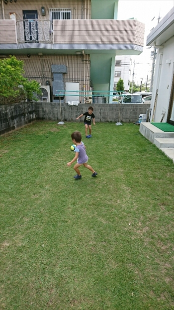 14日・猫用レボリューションが届きました!