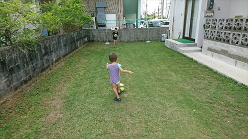 14日・猫用レボリューションが届きました!