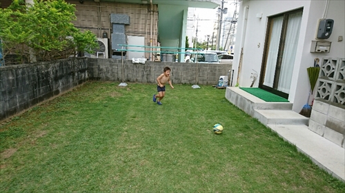 14日・猫用レボリューションが届きました!