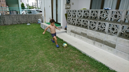 14日・猫用レボリューションが届きました!