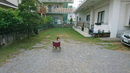 14日・猫用レボリューションが届きました!