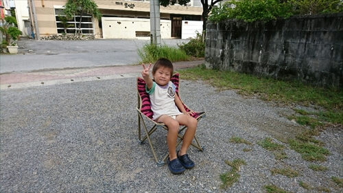 14日・猫用レボリューションが届きました!