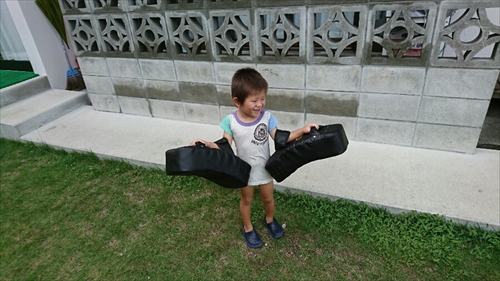 14日・猫用レボリューションが届きました!