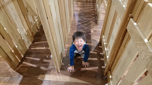 4日・帰省7日目はおもちゃ三昧!