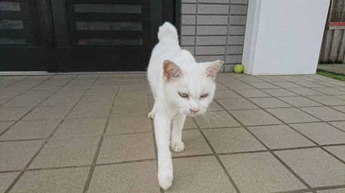 19日・探検!夜の水族館の競争率がヤバかった!