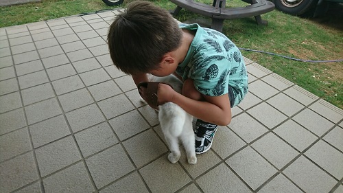 18日・アメリカ雑貨のお店!