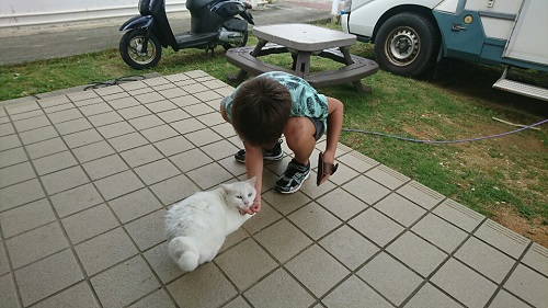 18日・アメリカ雑貨のお店!