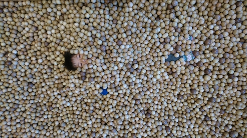 4日・帰省7日目はおもちゃ三昧!