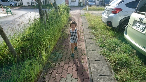 19日・台風対策と公園遊び!