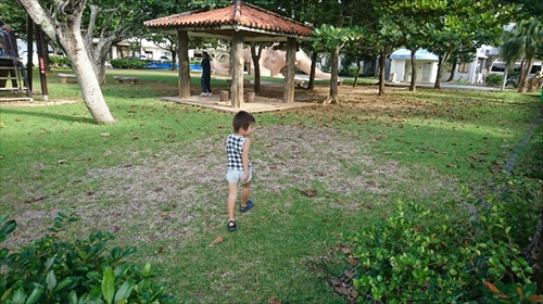 19日・台風対策と公園遊び!