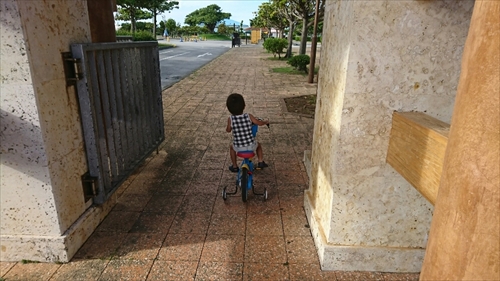 19日・台風対策と公園遊び!