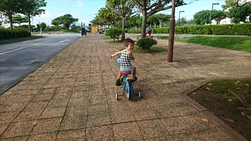 19日・台風対策と公園遊び!