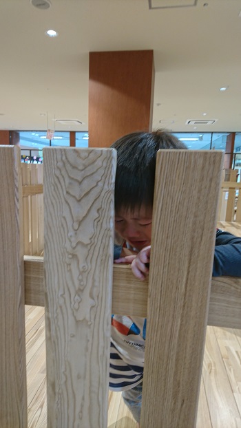 4日・帰省7日目はおもちゃ三昧!