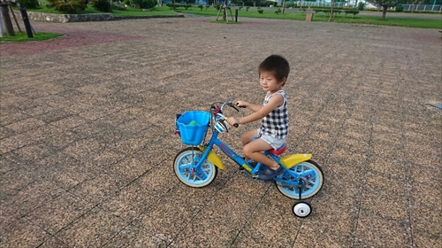 19日・台風対策と公園遊び!