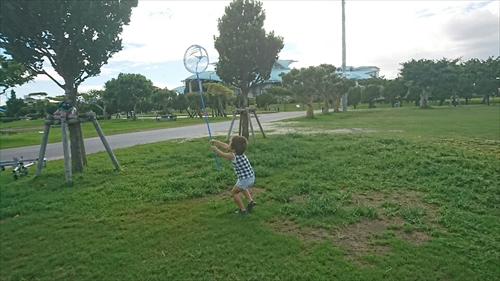 19日・台風対策と公園遊び!