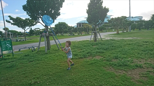 19日・台風対策と公園遊び!