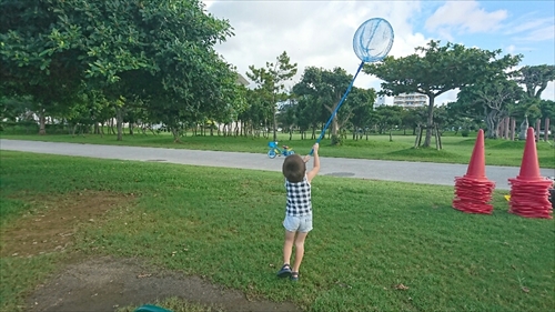 19日・台風対策と公園遊び!
