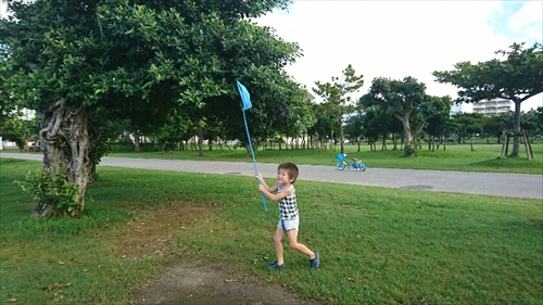 19日・台風対策と公園遊び!
