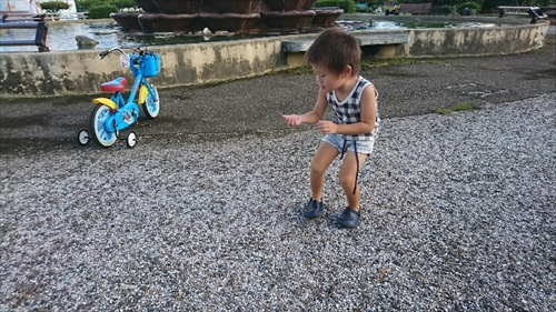 19日・台風対策と公園遊び!