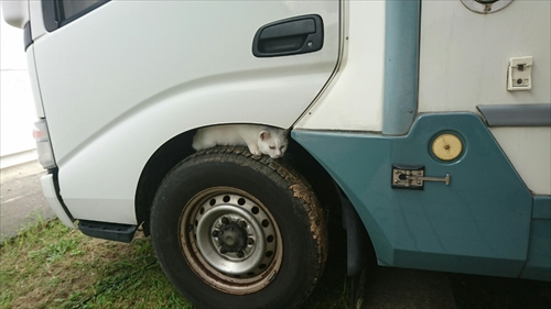 21日・無双の雪塩ラーメン!