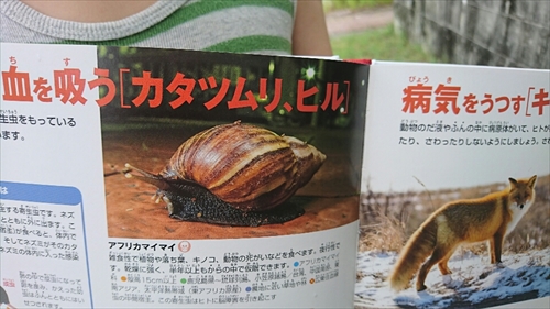 21日・無双の雪塩ラーメン!