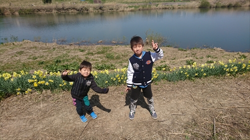 5日・帰省8日目は桜三昧!