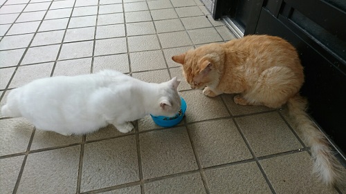 22日・キャンピングカーお泊り会!