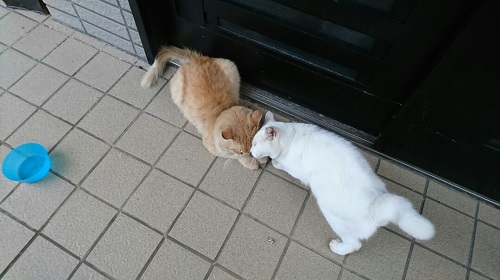 22日・キャンピングカーお泊り会!