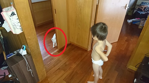 27日・ラストガリバー!