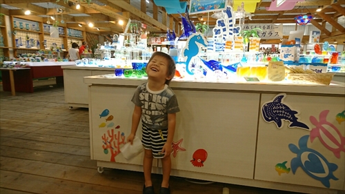 3日・沖縄観光旅行〜ガラス館、フルーツランド、琉宮城、美ら海編