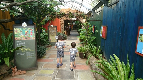 3日・沖縄観光旅行〜ガラス館、フルーツランド、琉宮城、美ら海編