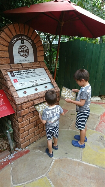 3日・沖縄観光旅行〜ガラス館、フルーツランド、琉宮城、美ら海編