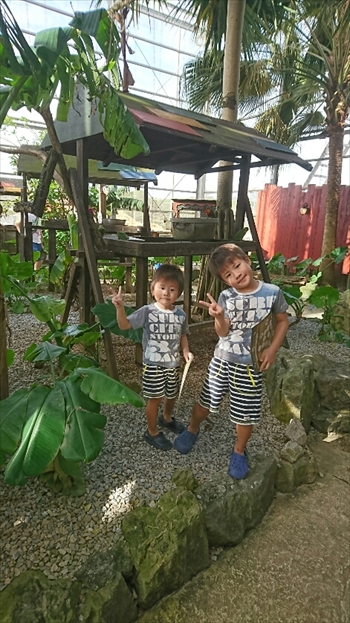 3日・沖縄観光旅行〜ガラス館、フルーツランド、琉宮城、美ら海編